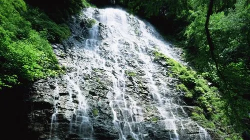 先进节能自动化